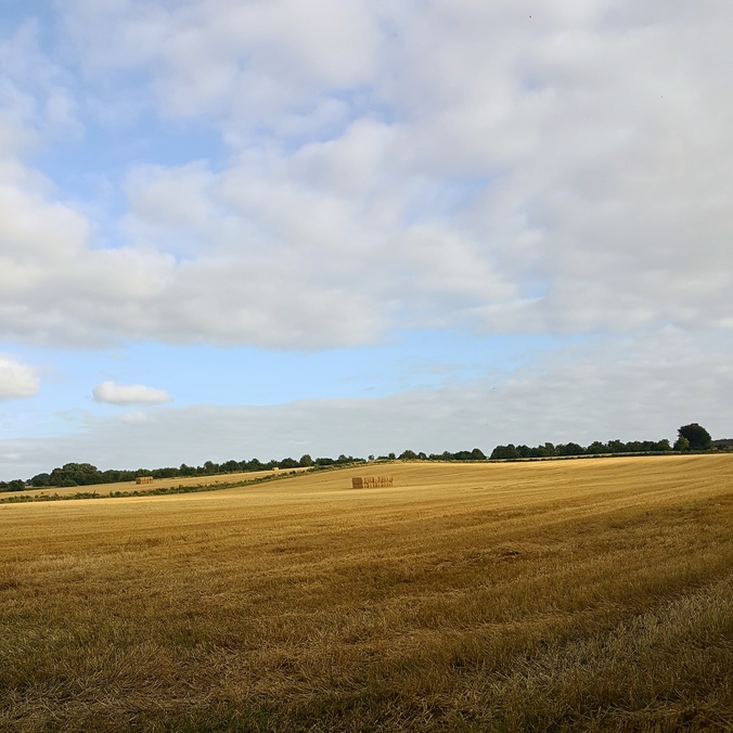 IMG_20160815_192128 1