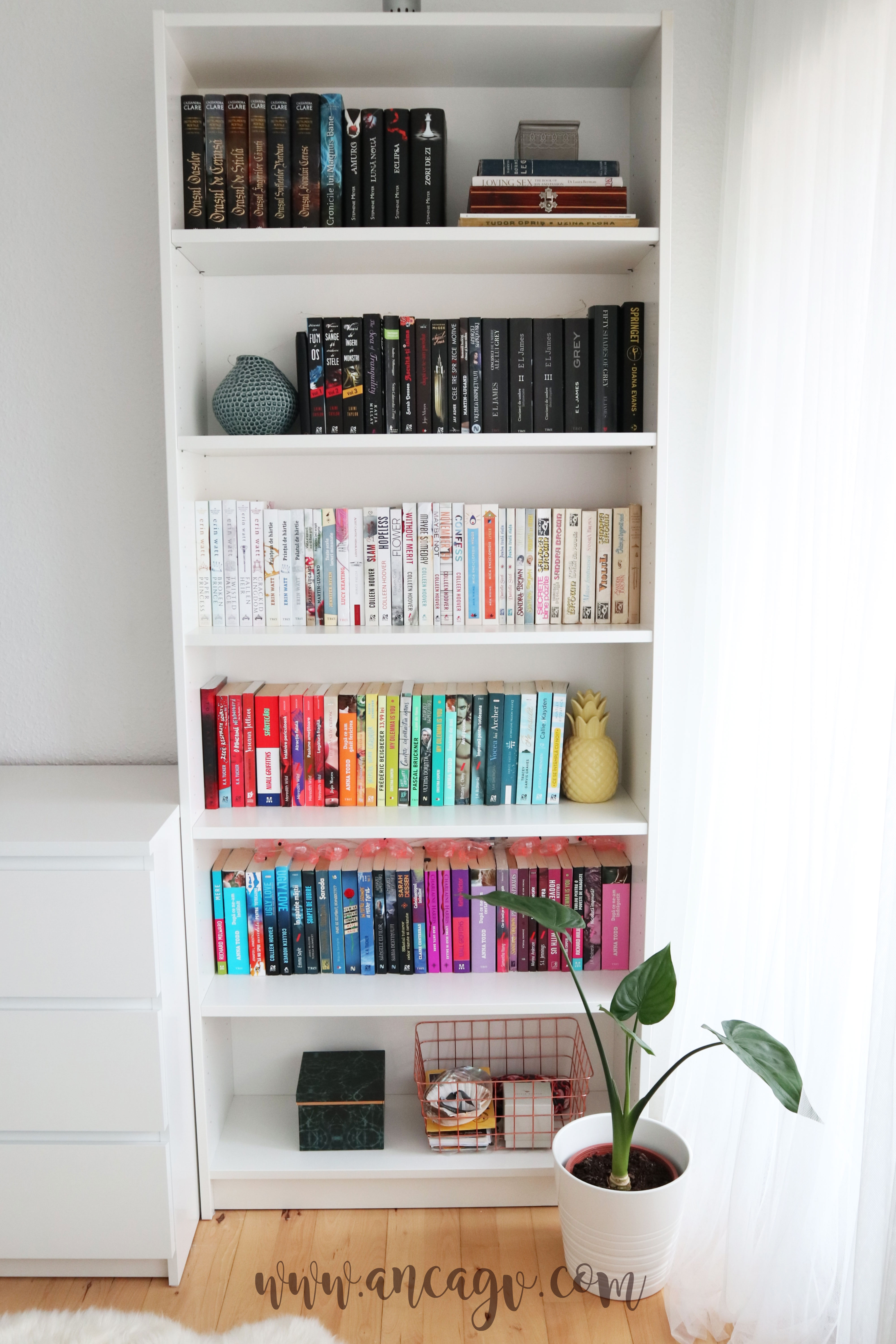 biblioteca-noiembrie-2018