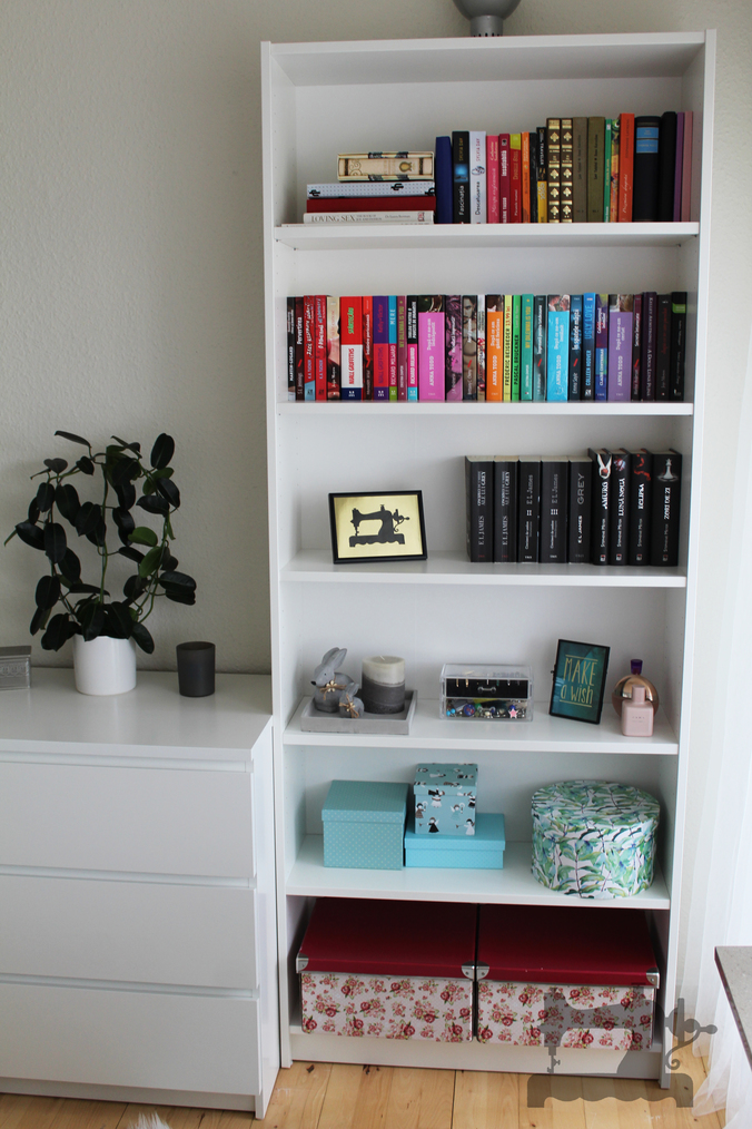 micuta mea biblioteca04