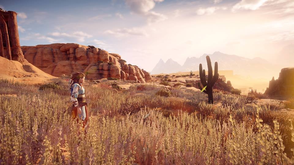 21192302_1493299684071703_2787914285429578686_n