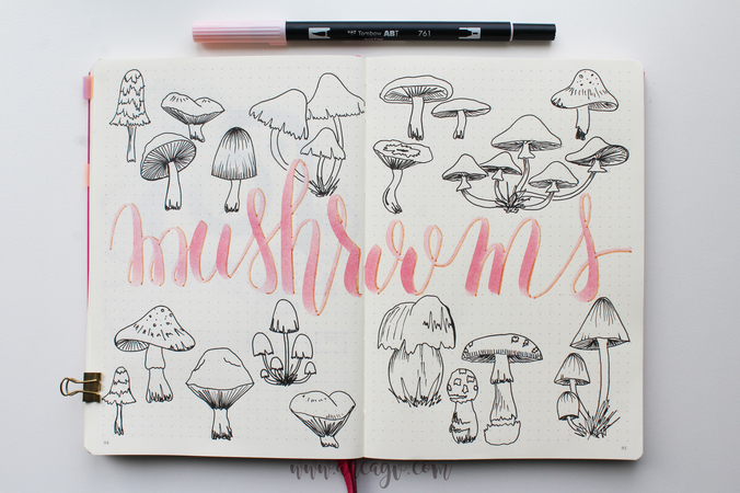 bujo october facebook2