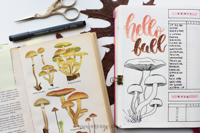 bujo october facebook3