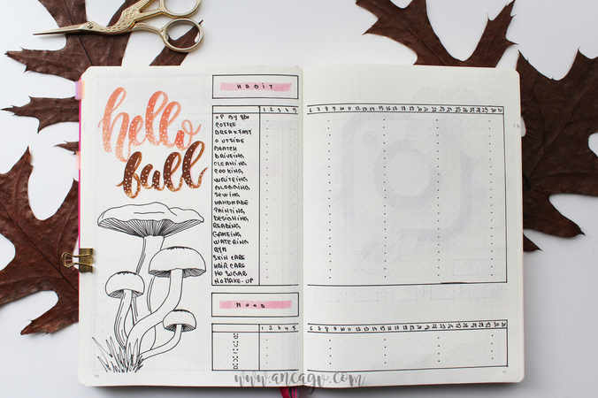 bujo october facebook4