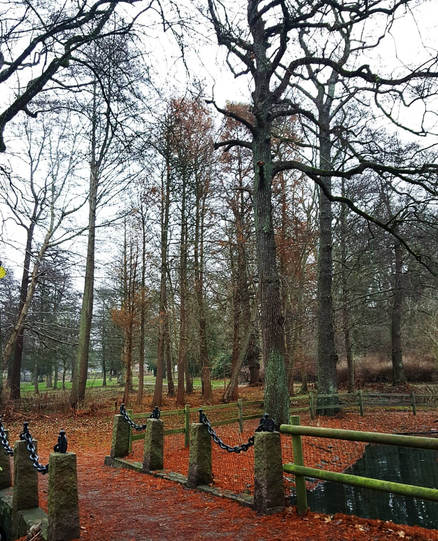 Screenshot_20171106-125507