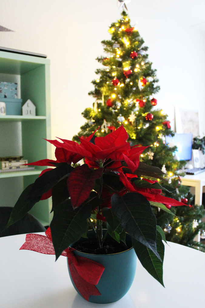 acea vreme din an3 (2)