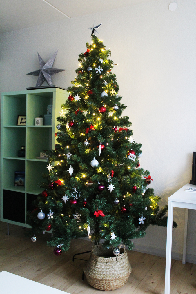 acea vreme din an4 (2)