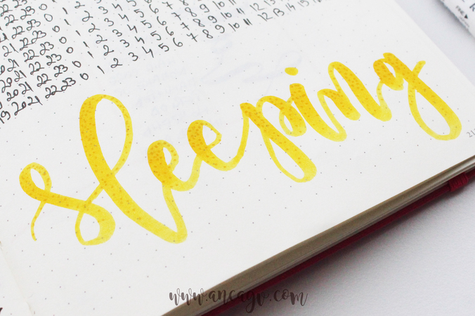 Bullet Journal – set-up pentru luna Februarie13