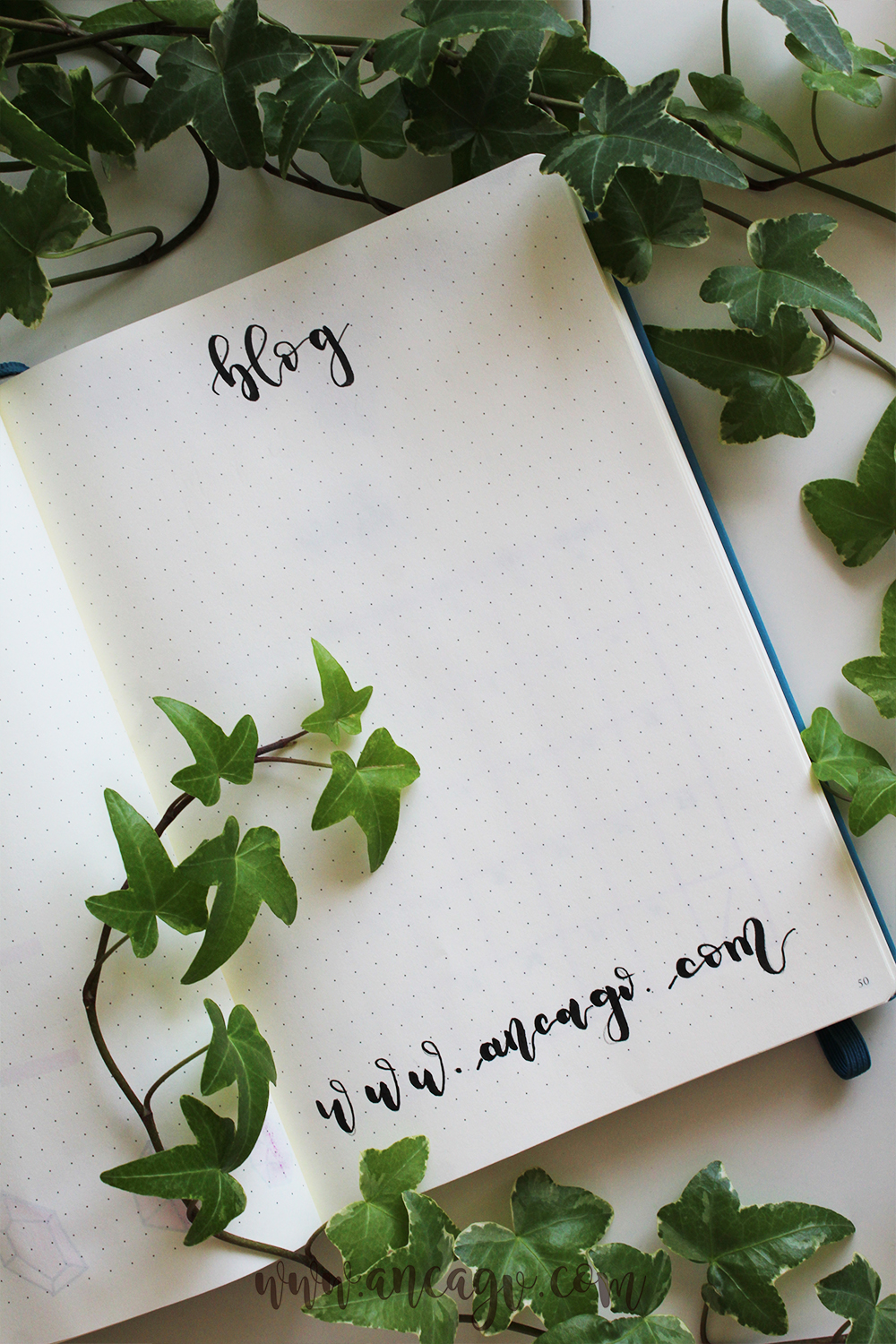 bullet journal march 1