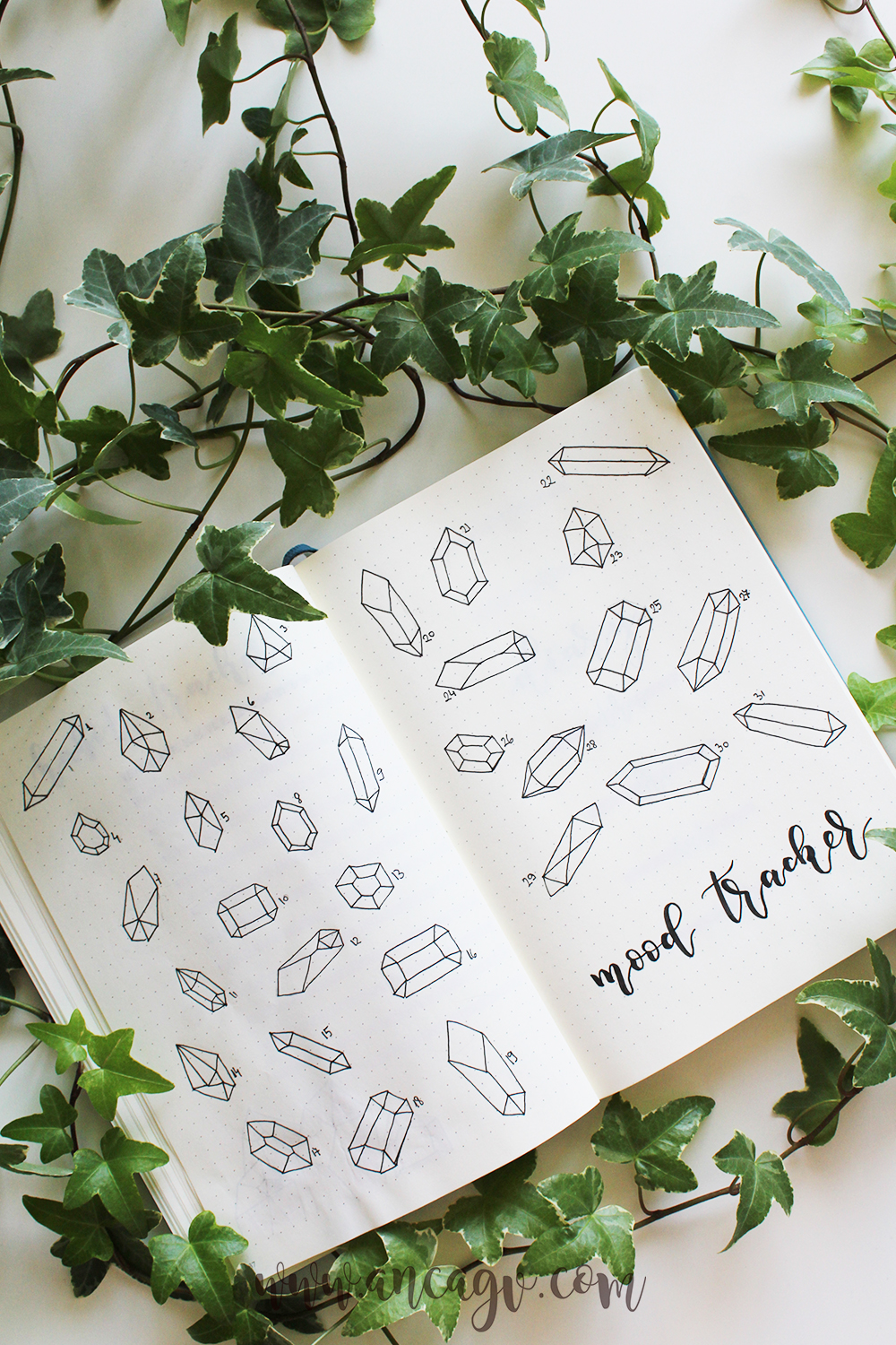 bullet journal march 3