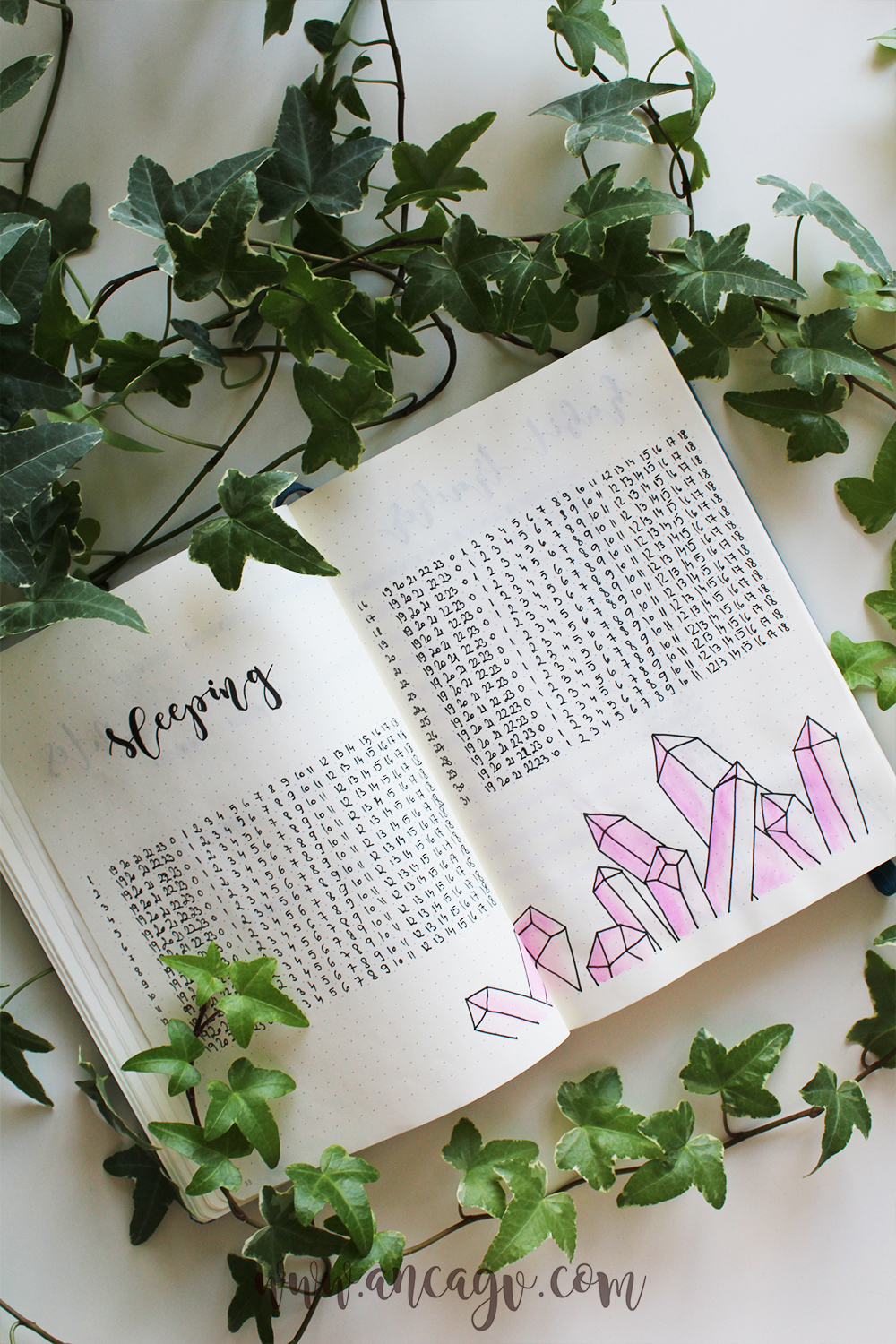 bullet journal march 4