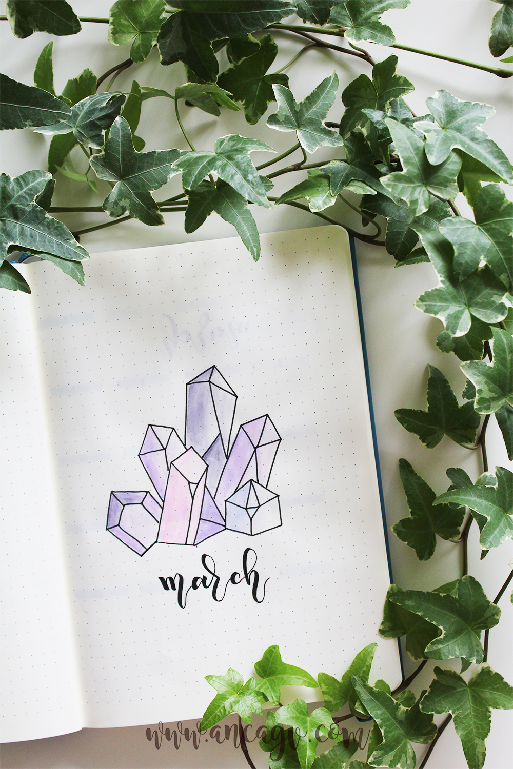 bullet journal march 5