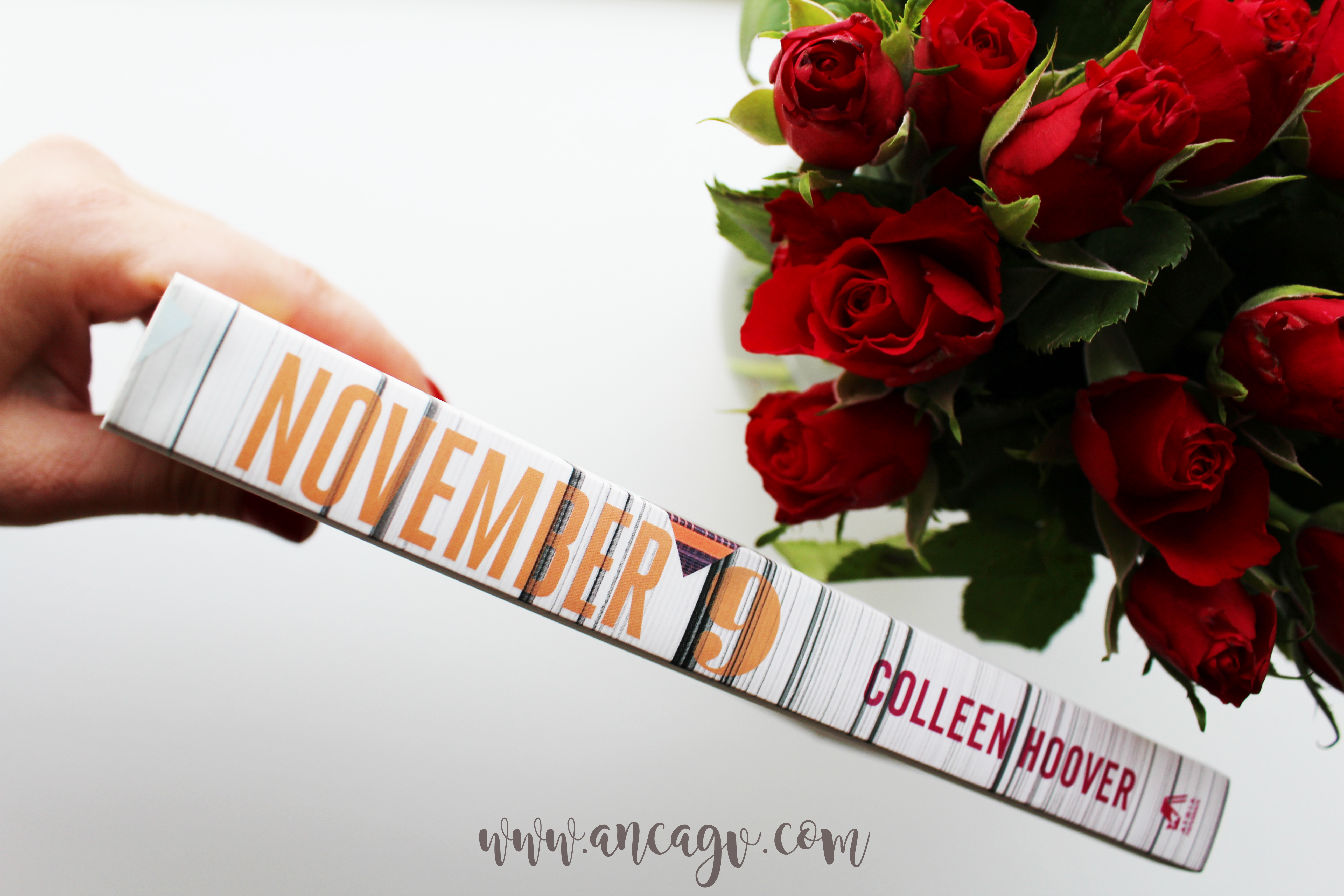november 9 colleen hoover 1