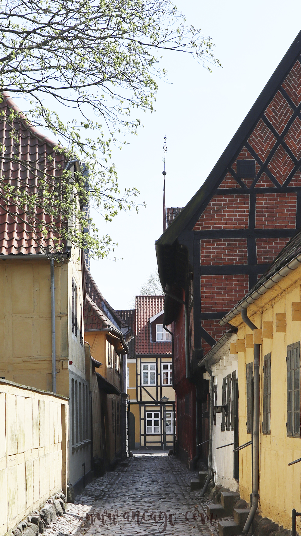 odense2