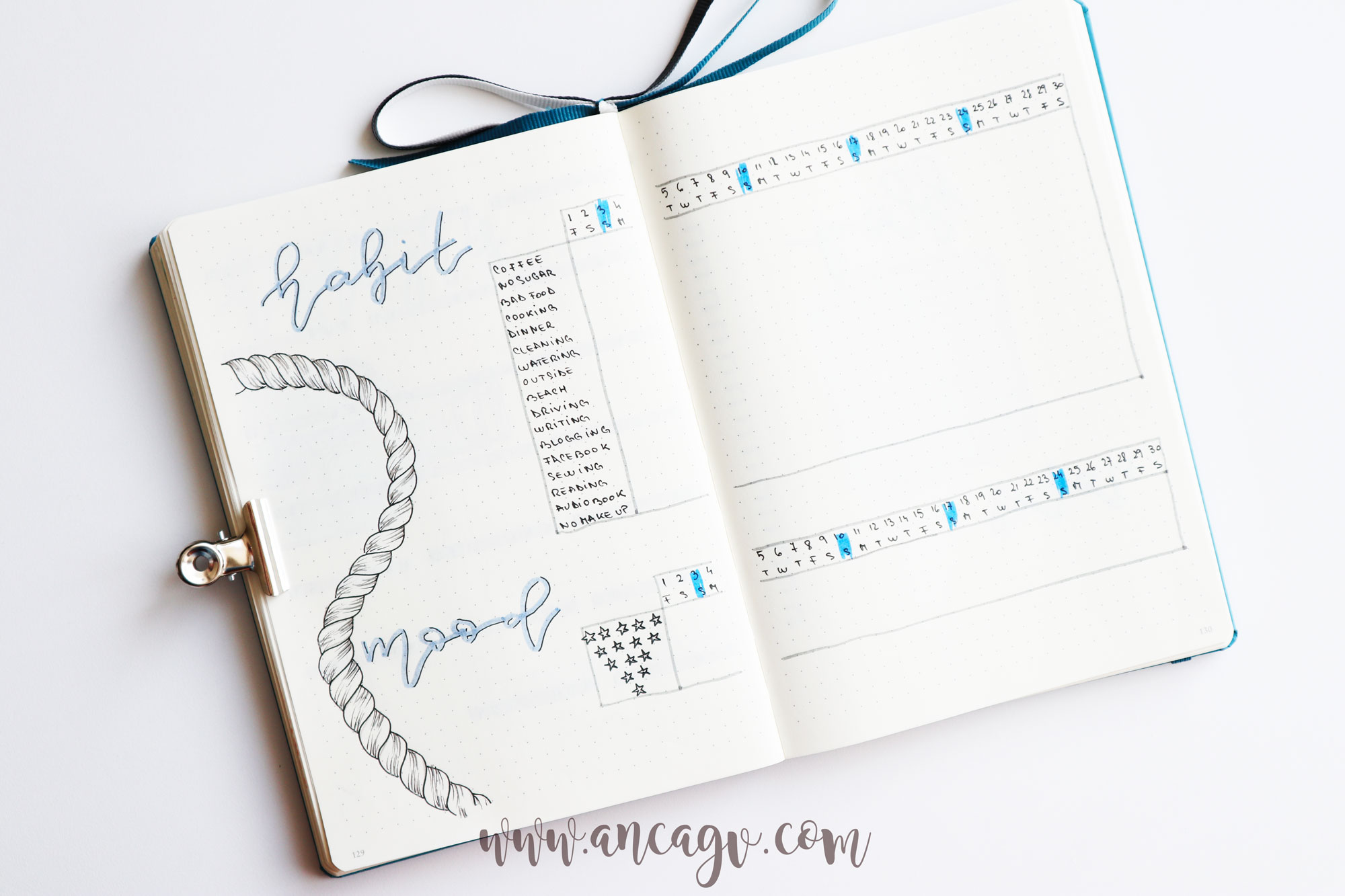 june-bullet-journal-4