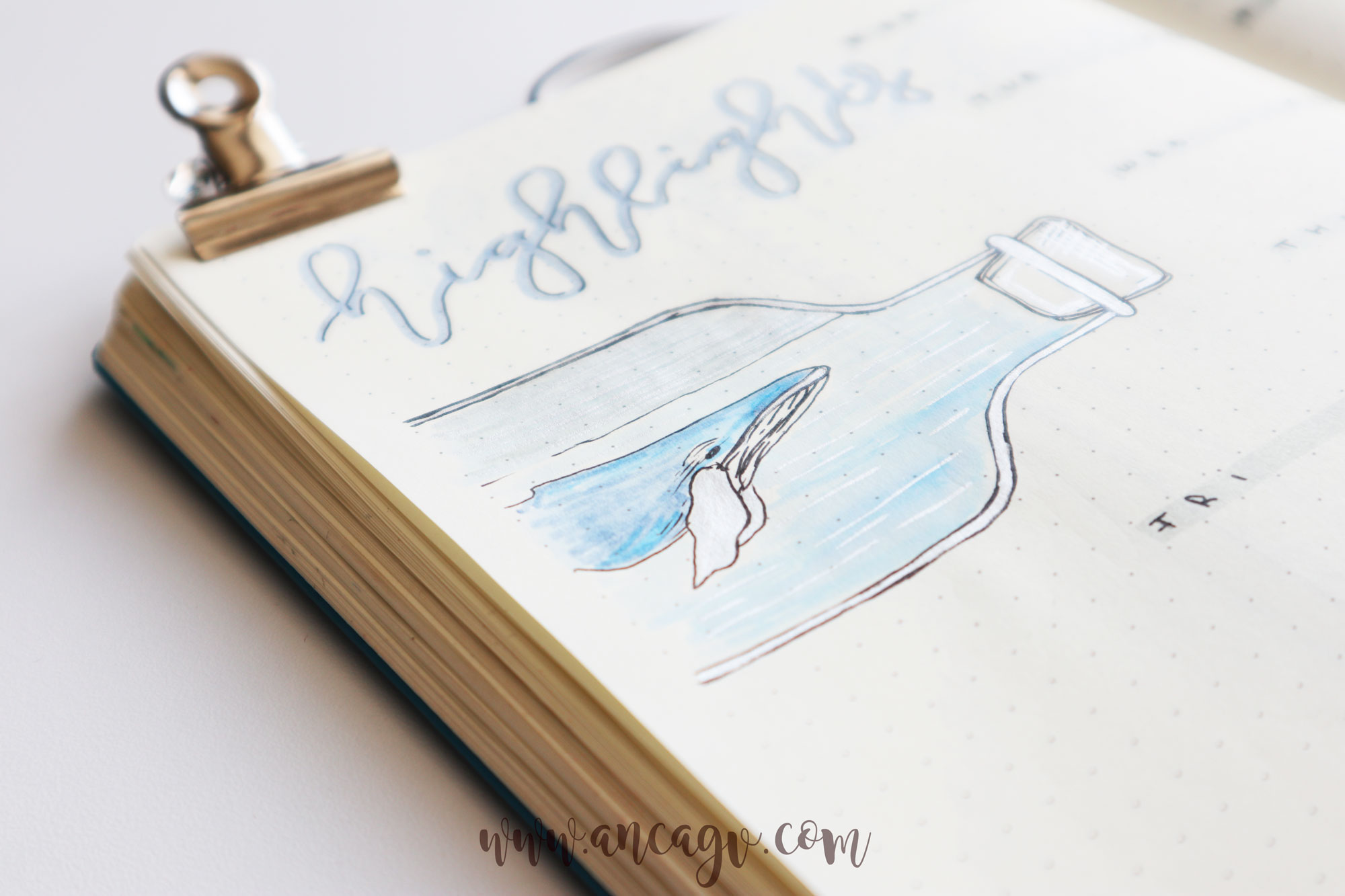 june-bullet-journal-5