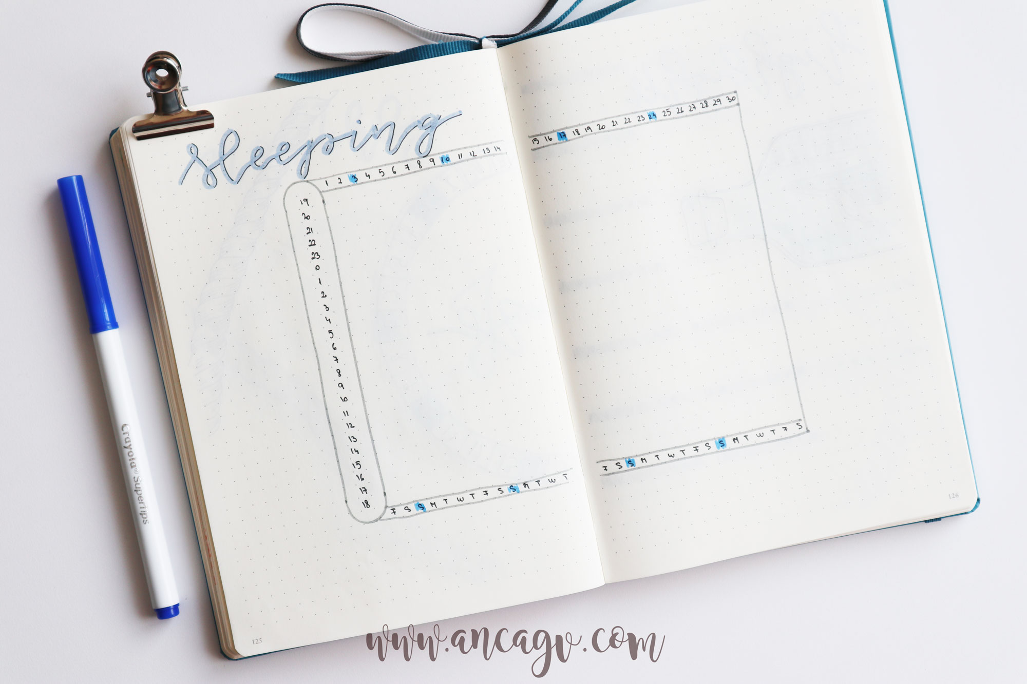 june-bullet-journal-6