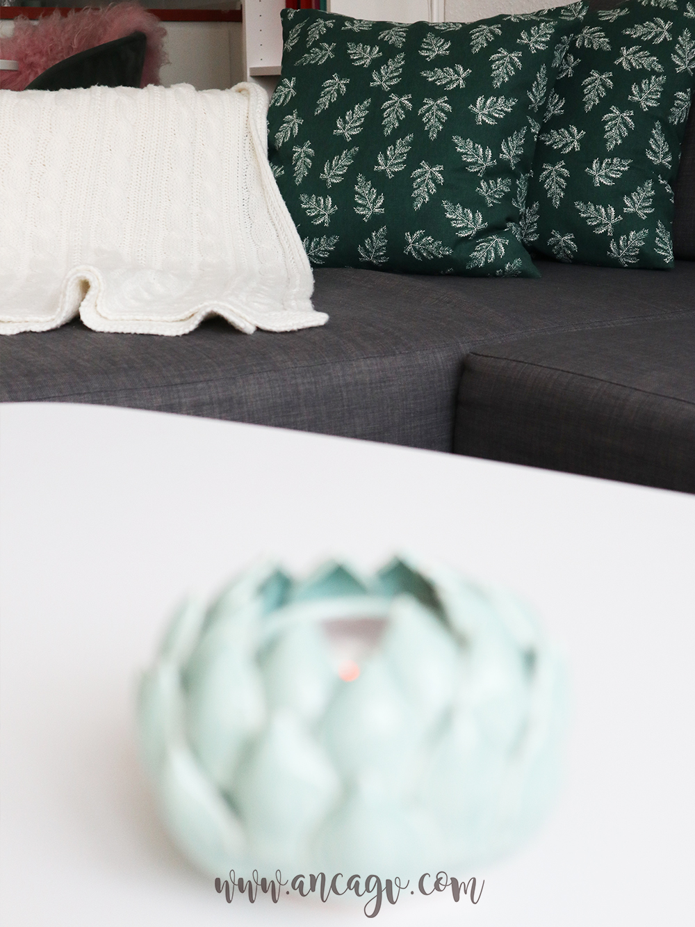 iarna in cativa pasi simpli