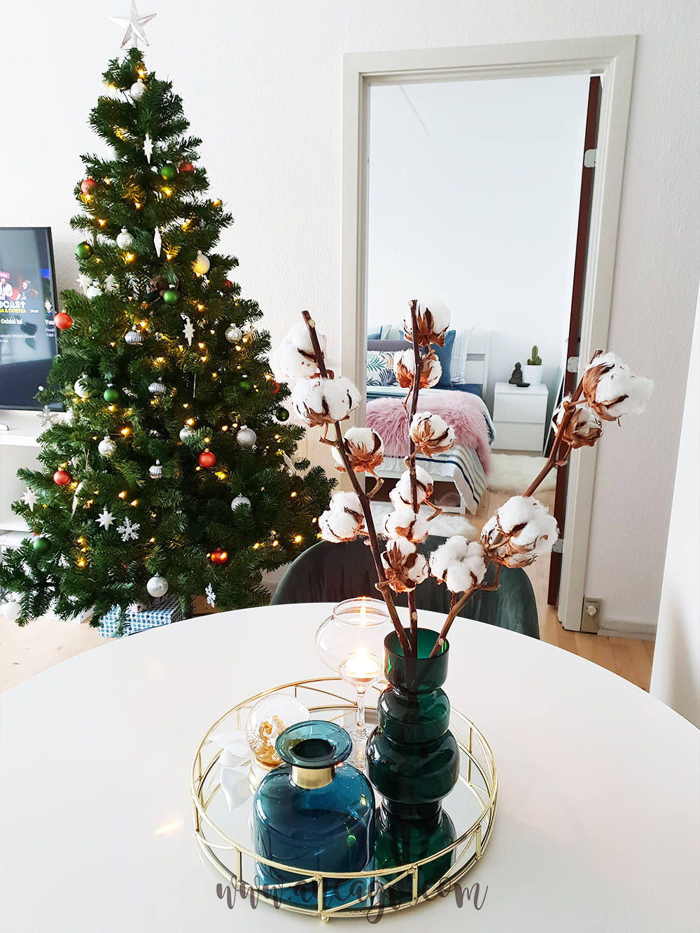 iarna in cativa pasi simpli5