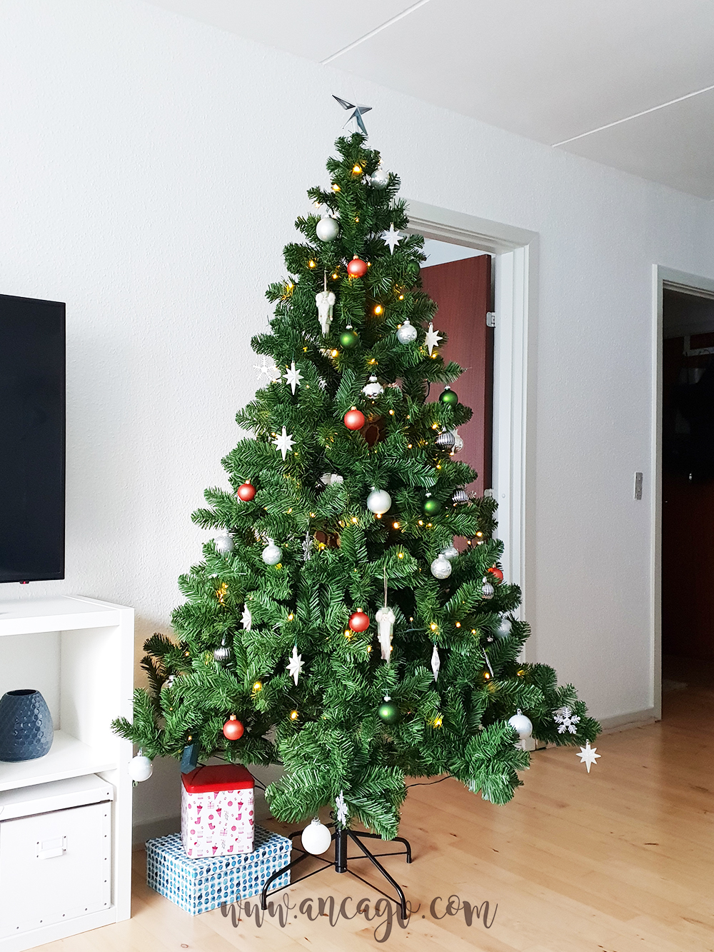 iarna in cativa pasi simpli6