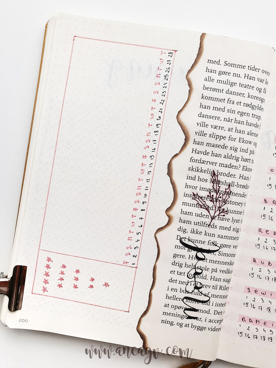 bullet-journal-set-up-for-february-12