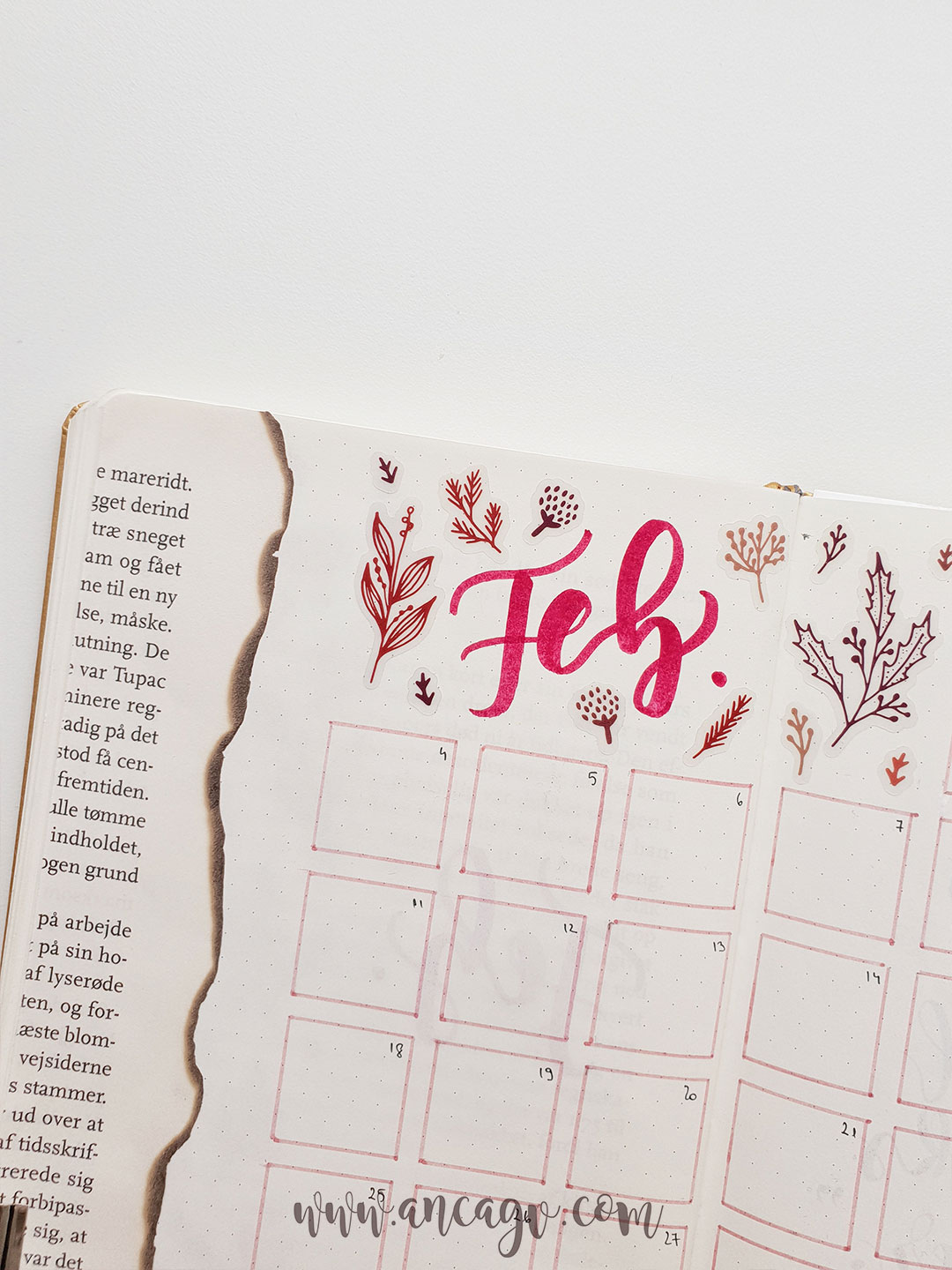 bullet-journal-set-up-for-february-15