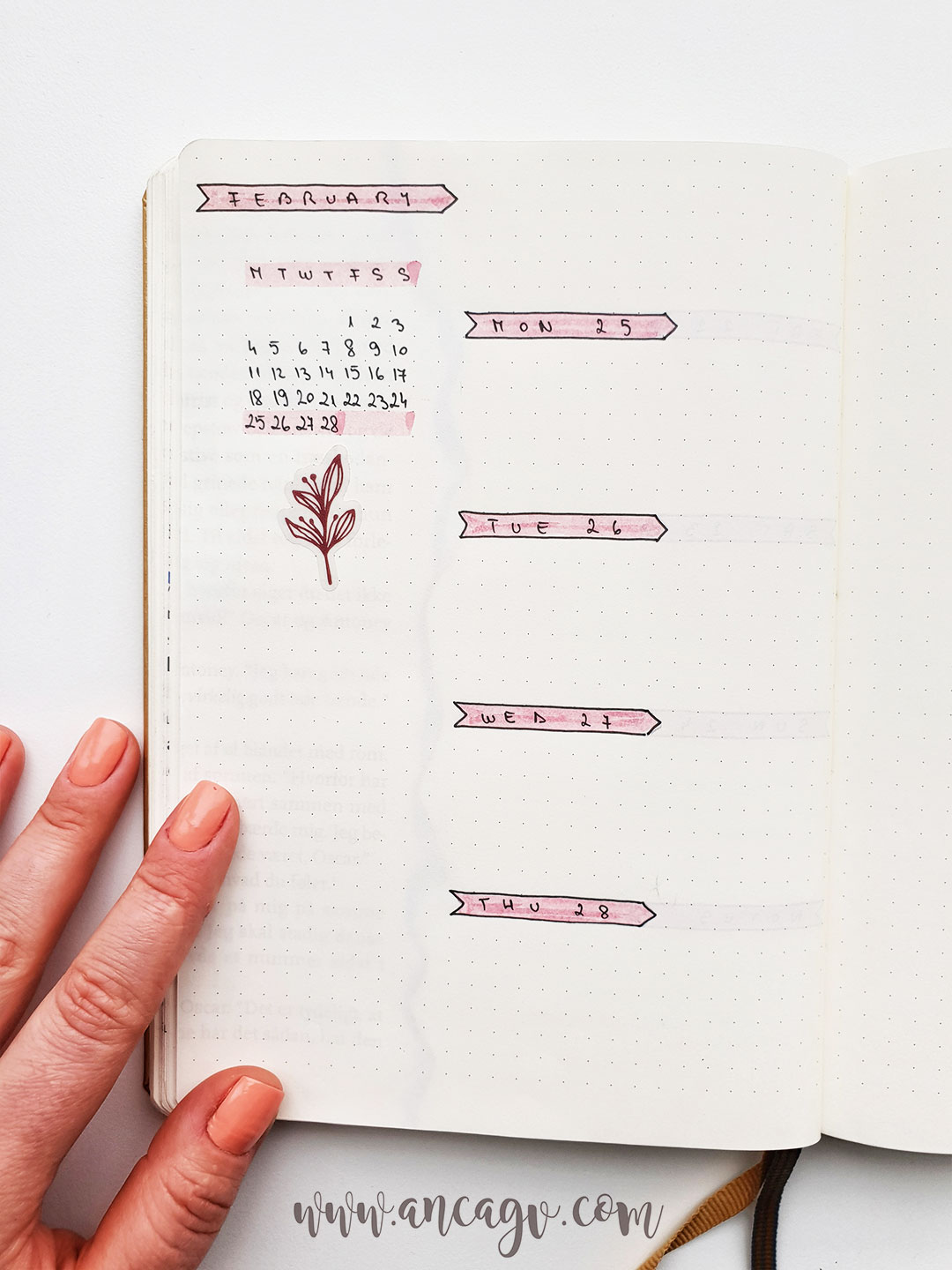 bullet-journal-set-up-for-february-16