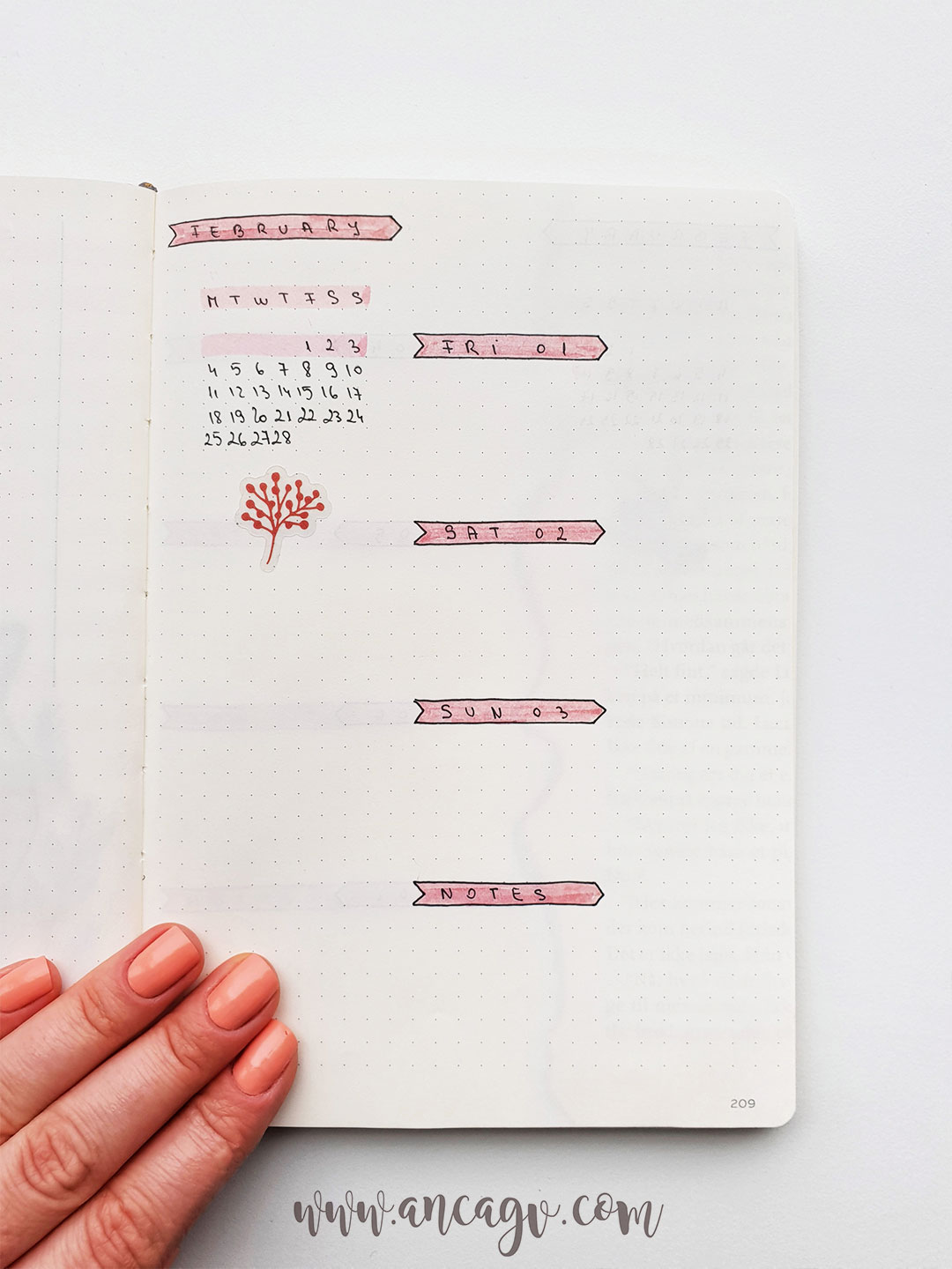 bullet-journal-set-up-for-february-17