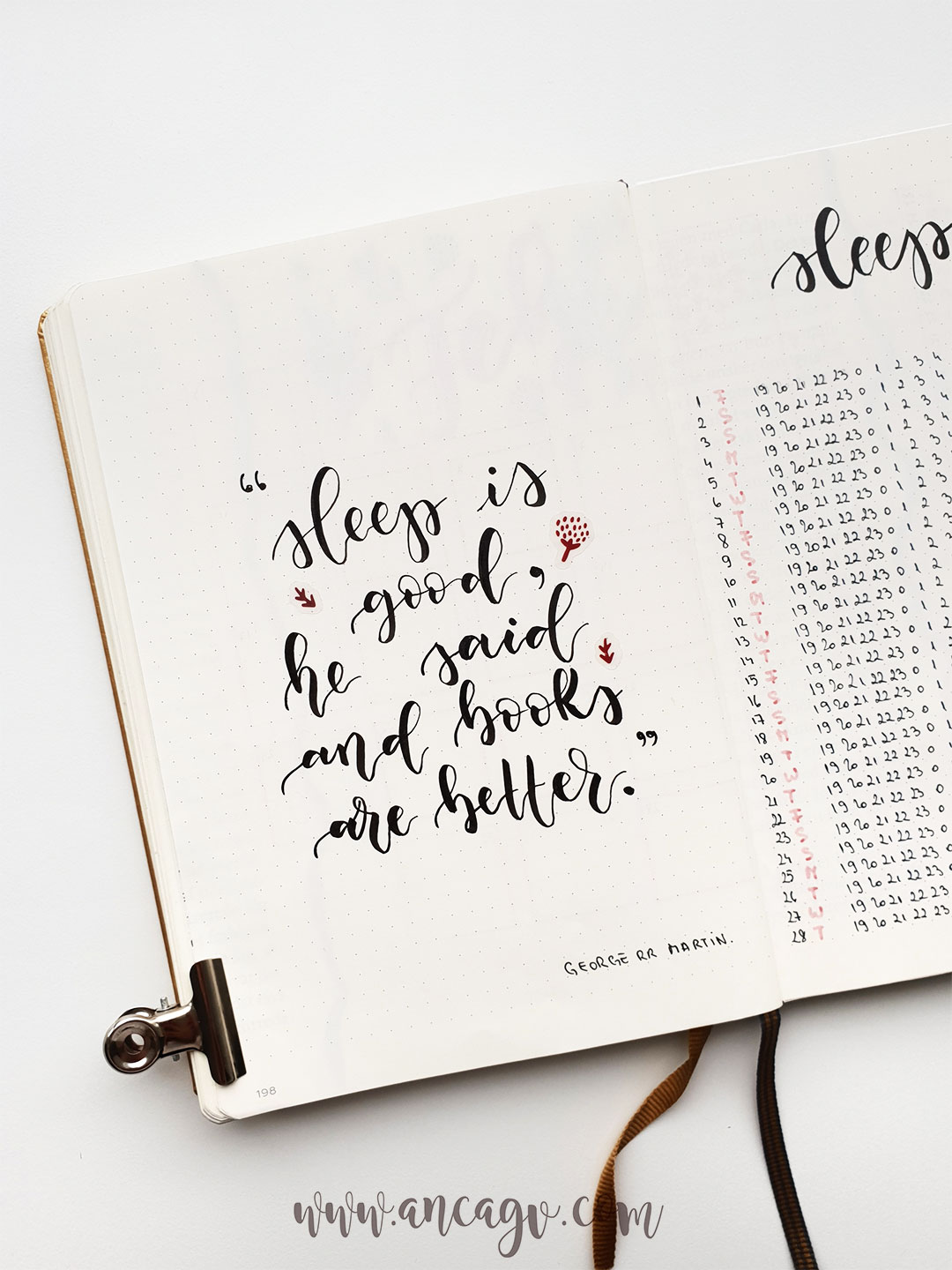 bullet-journal-set-up-for-february-19