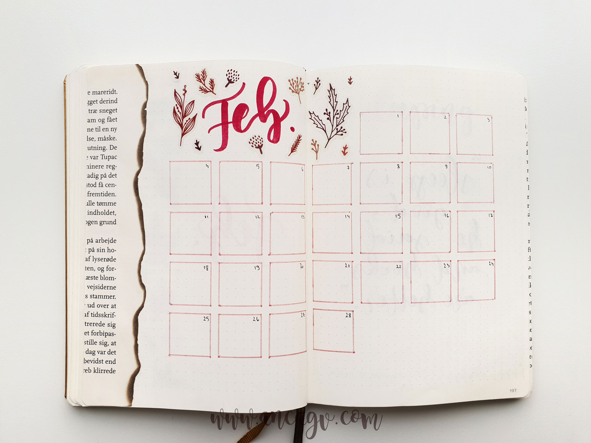 bullet-journal-set-up-for-february-4