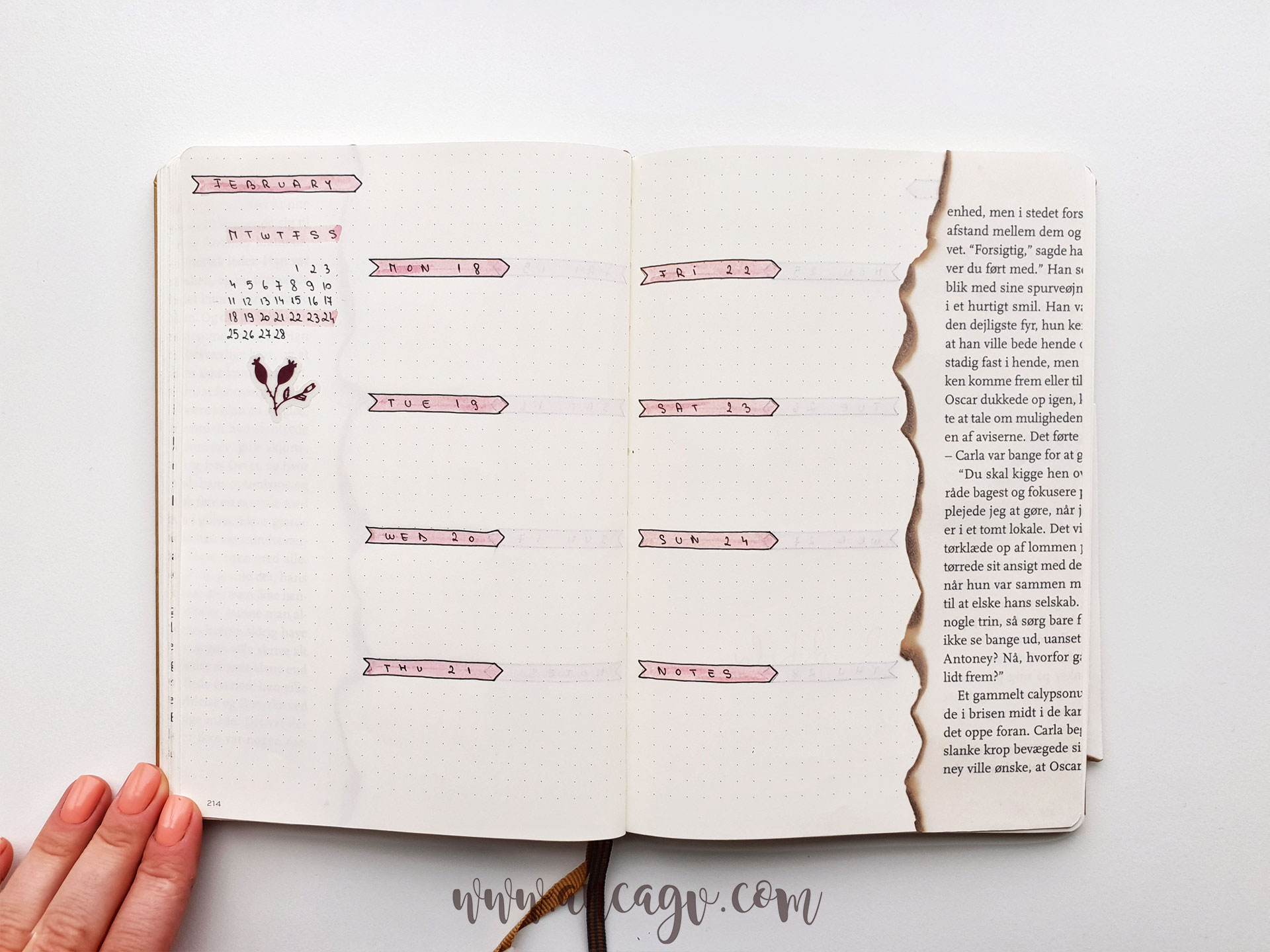 bullet-journal-set-up-for-february-5