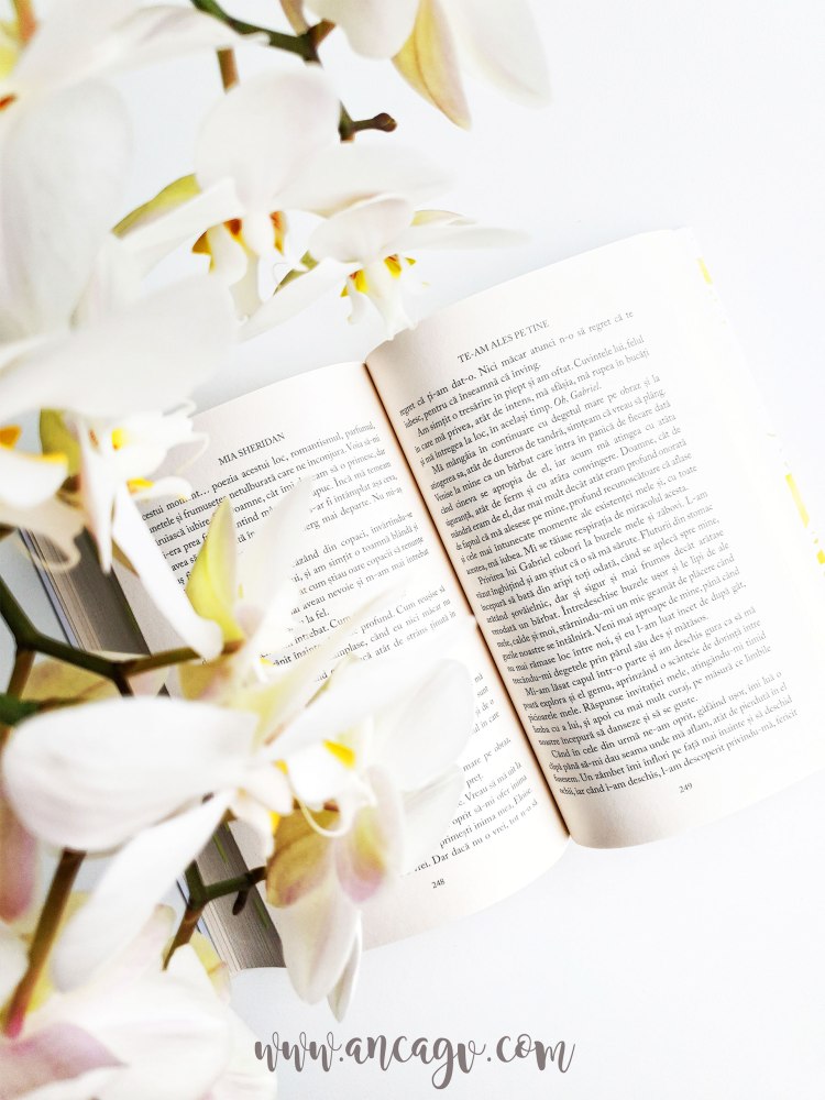 te-am-ales-pe-tine-de-mia-sheridan1