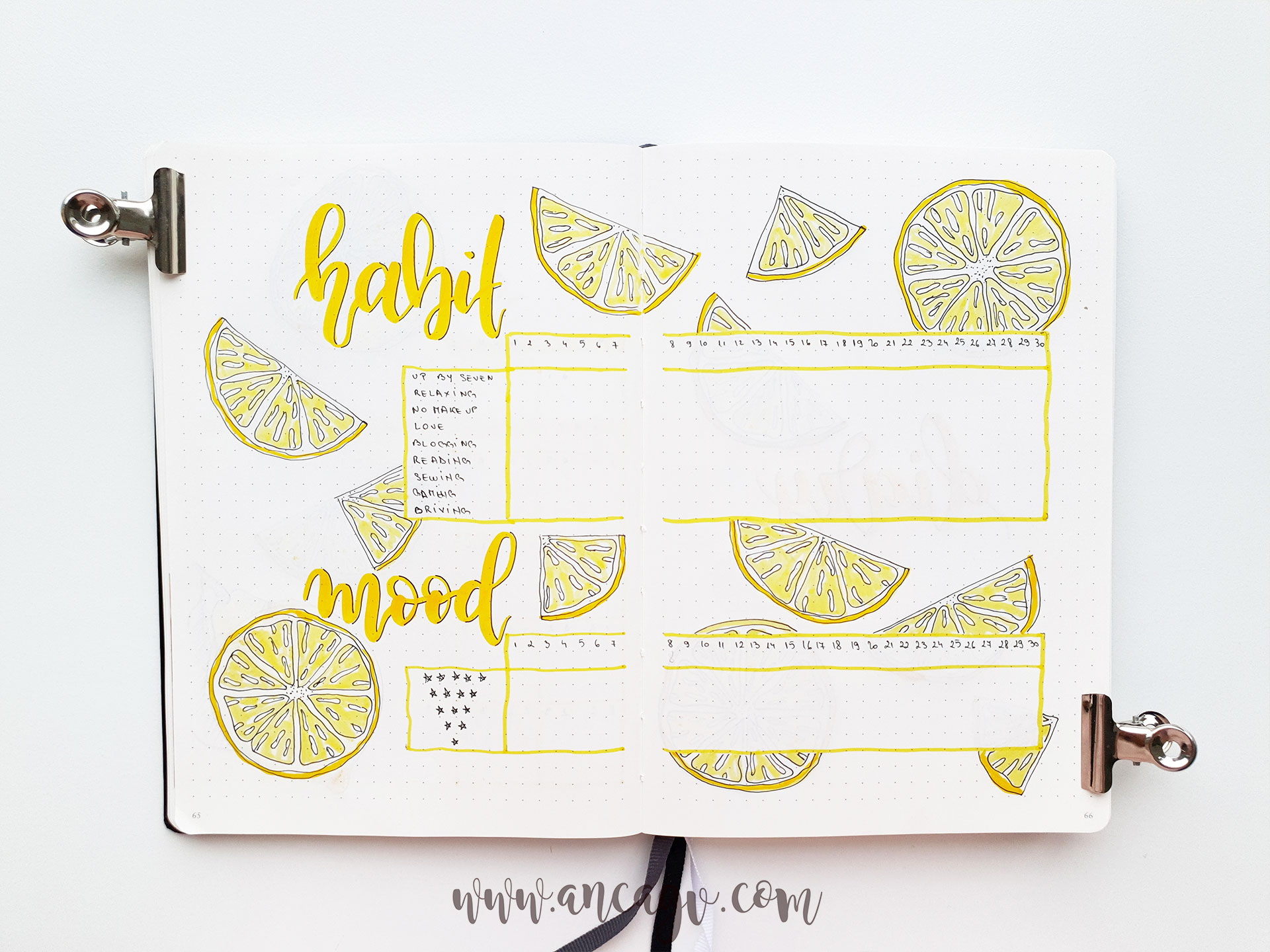 bullet-journal-june-20191