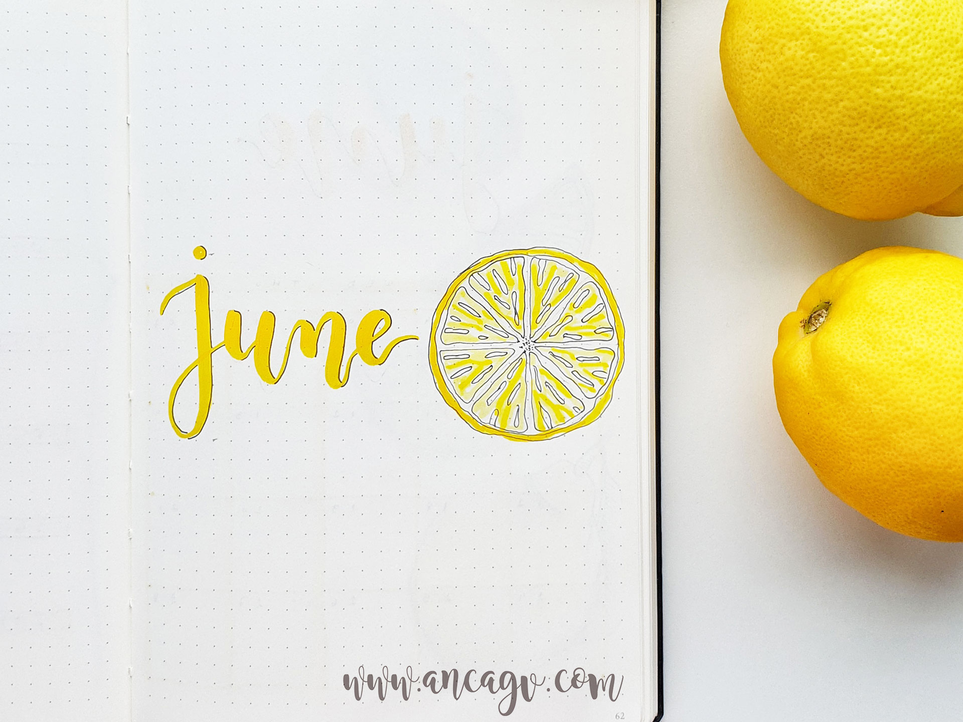 bullet-journal-june-20192