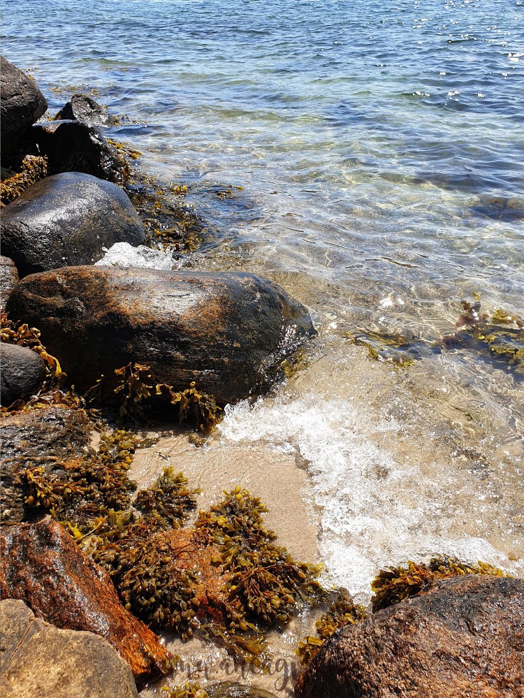 jurnalul-unui-adam-3