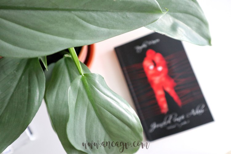 jurnalul-unui-adam-vol-doi4