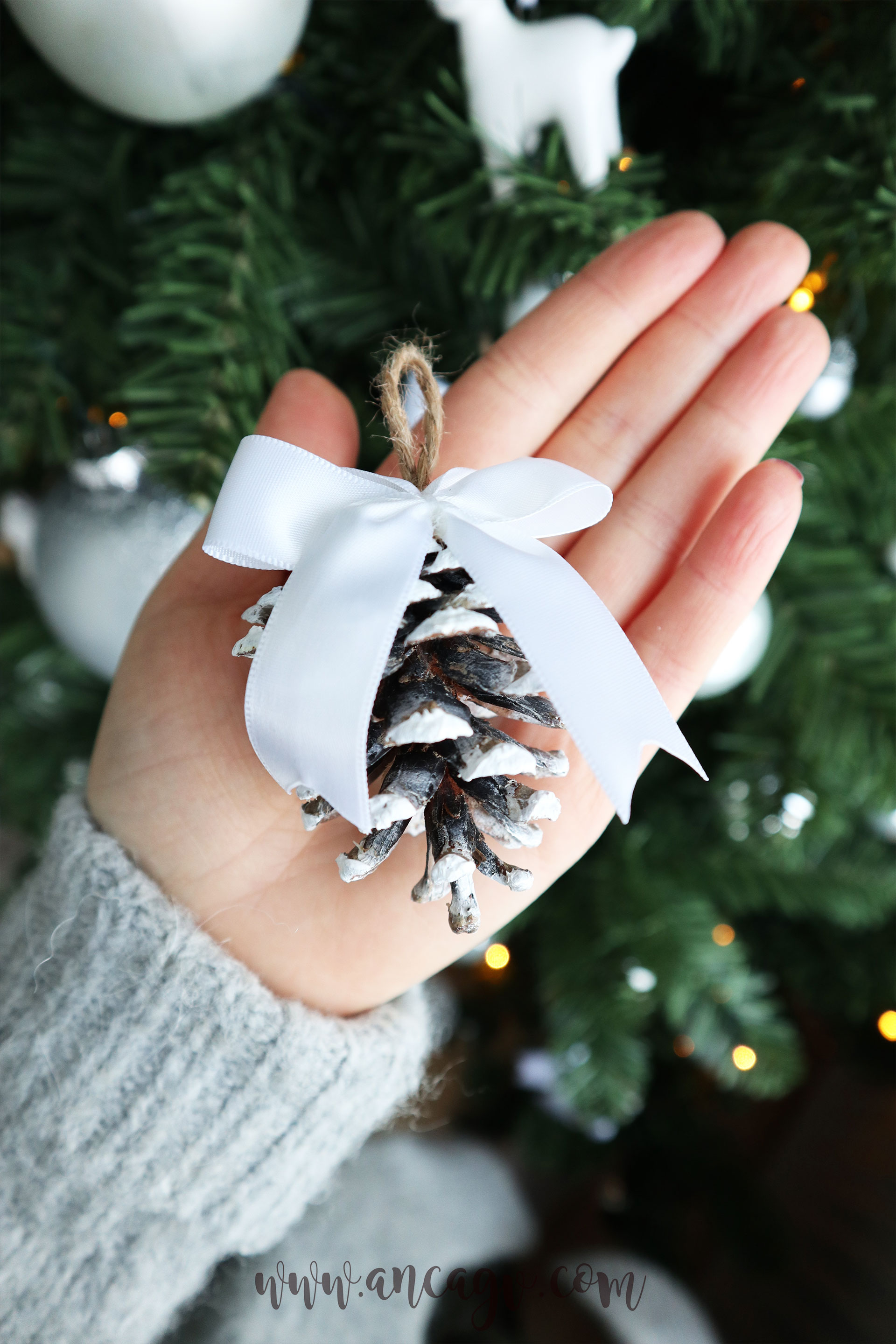 in-preajma-sarbatorilor10