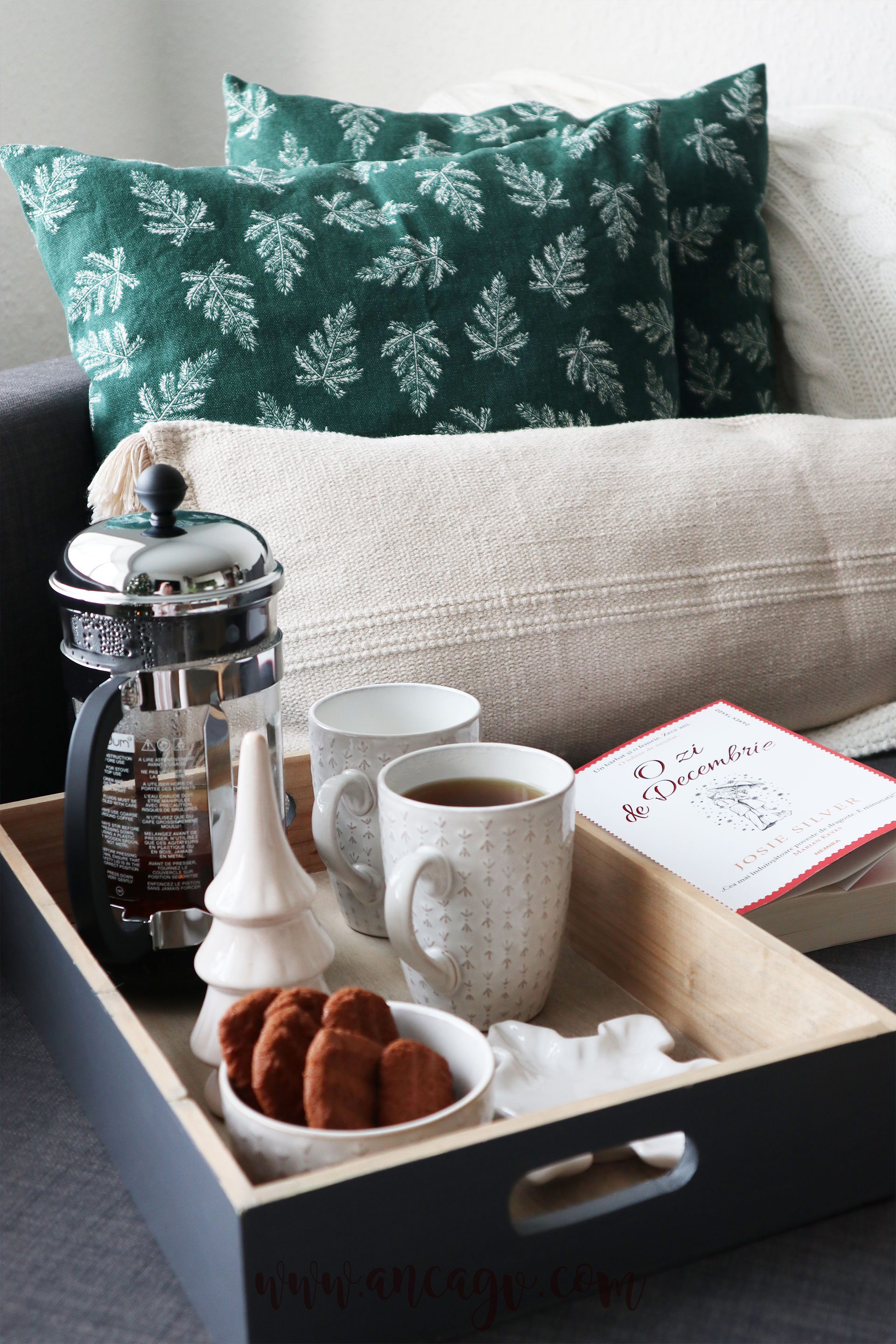 in-preajma-sarbatorilor5