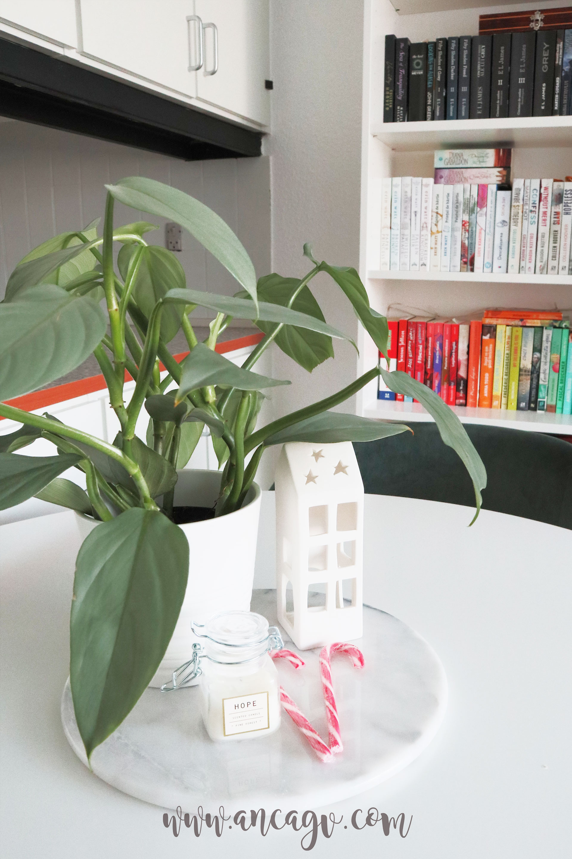 in-preajma-sarbatorilor6