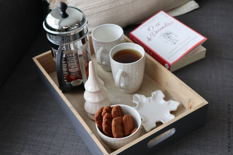 josie-silver---o-zi-in-decembrie---2