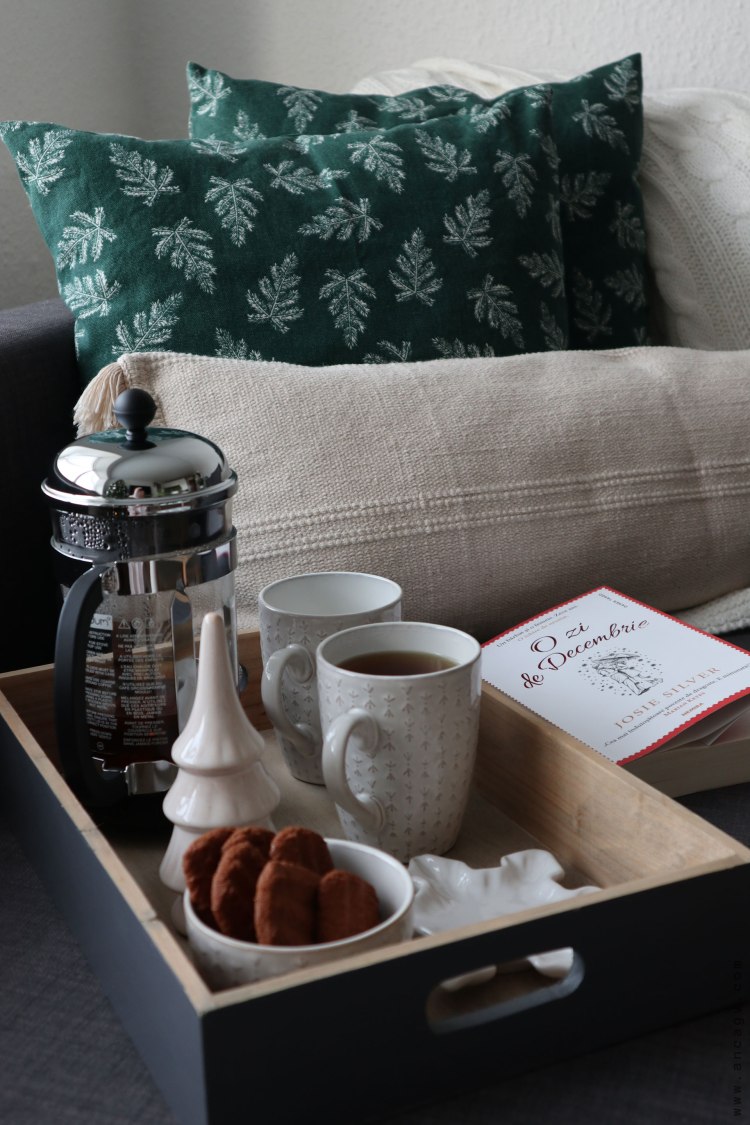 josie-silver---o-zi-in-decembrie---c13