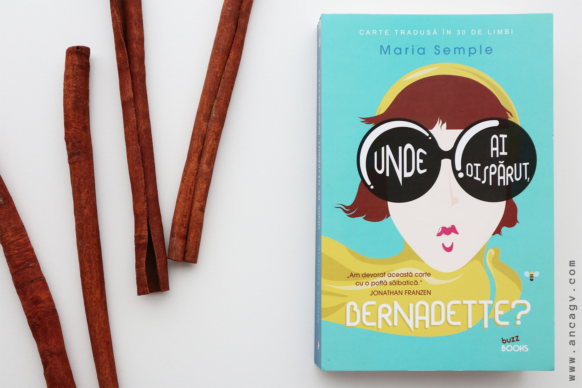 unde ai disparut bernadette