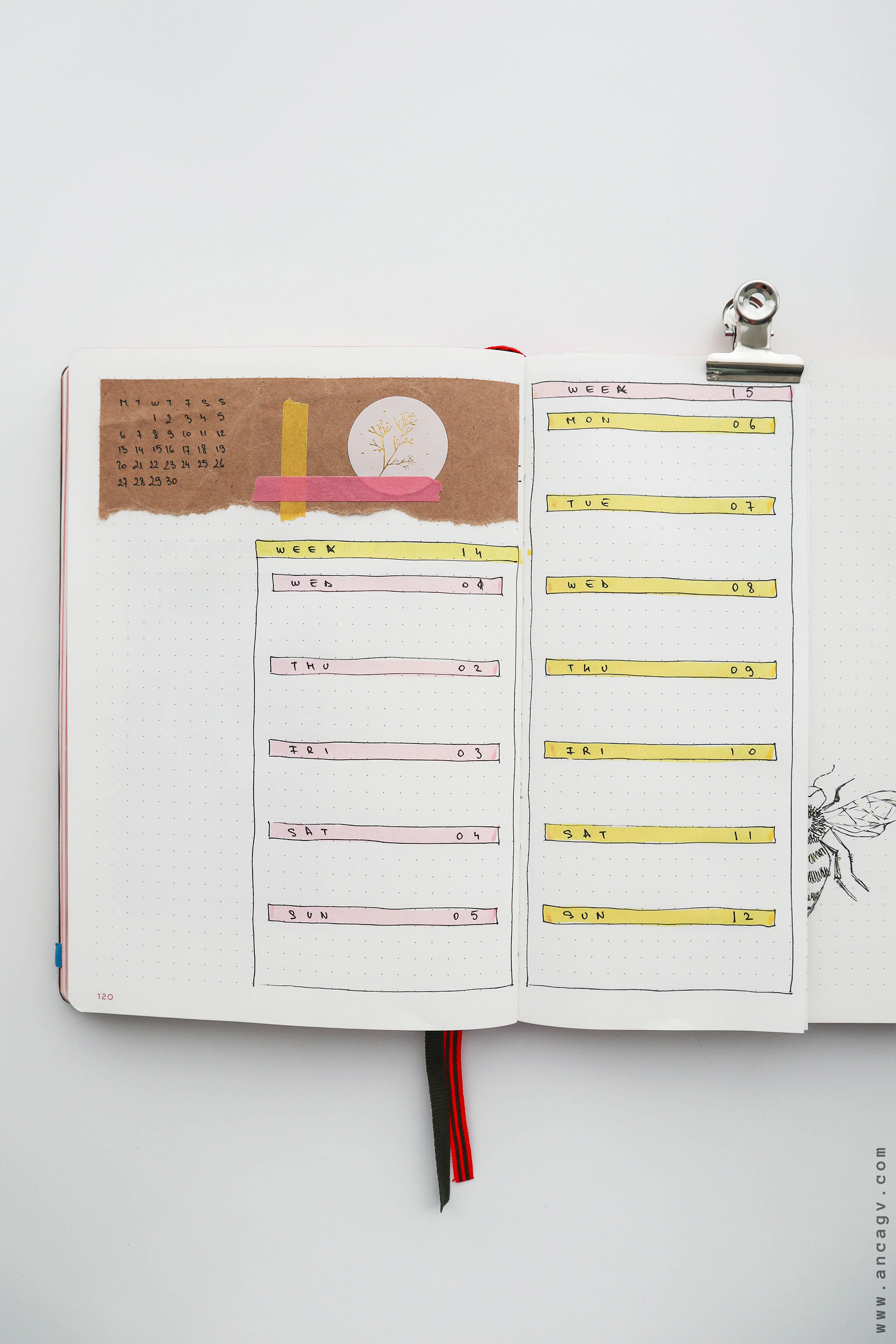 Bullet-Journal-–-set-up-for-April-2020-10