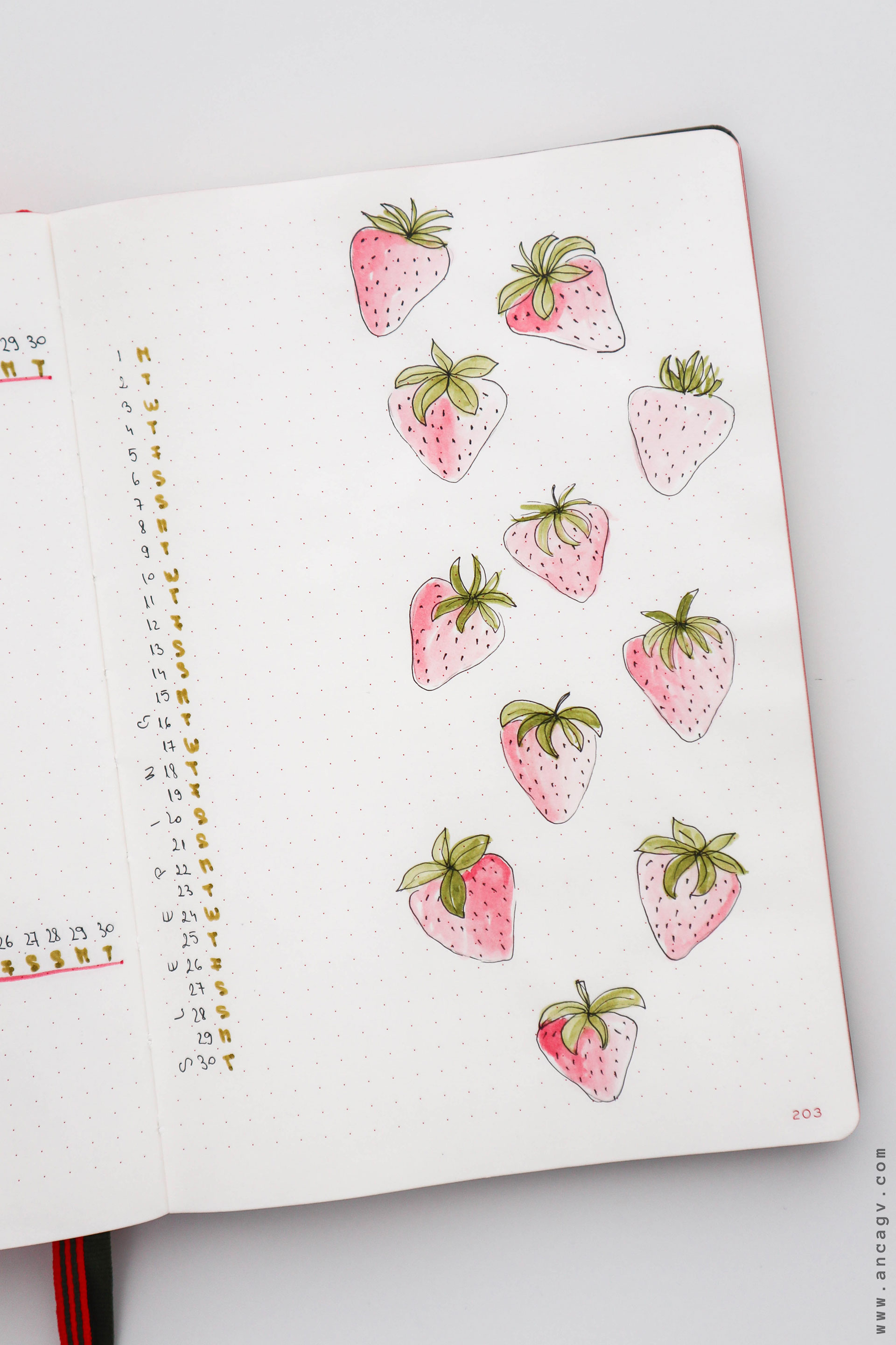 Bullet-Journal-–-set-up-for-June-20203