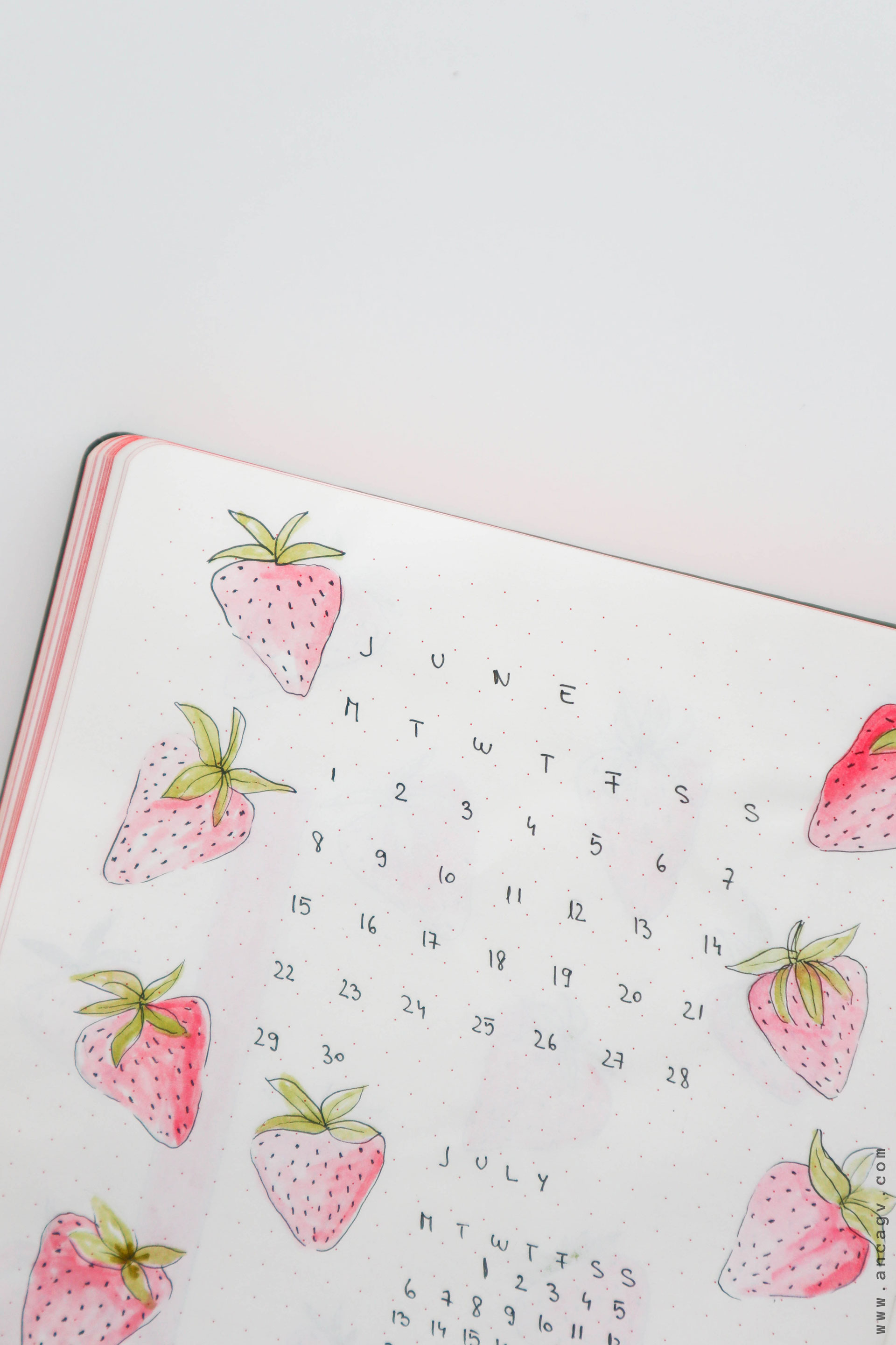 Bullet-Journal-–-set-up-for-June-20207